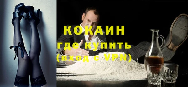 прущие грибы Богородск