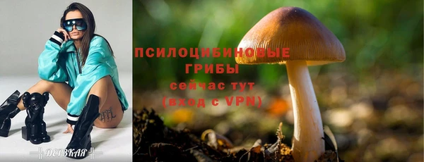 не бодяженный Богородицк
