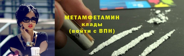 прущие грибы Богородск