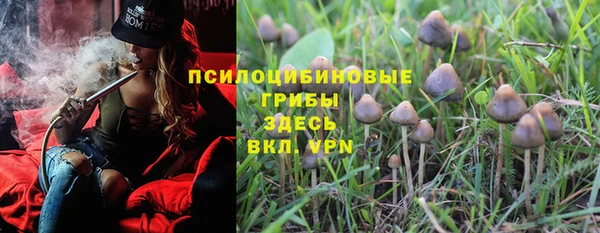 не бодяженный Богородицк