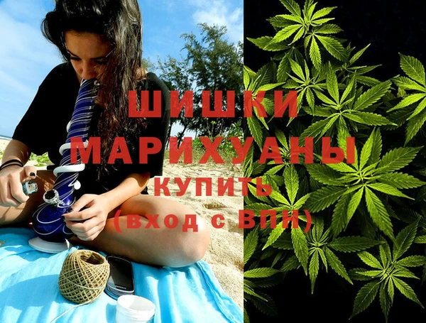 амф Богданович