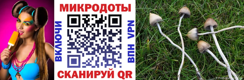 Галлюциногенные грибы Psilocybe  наркота  Плёс 